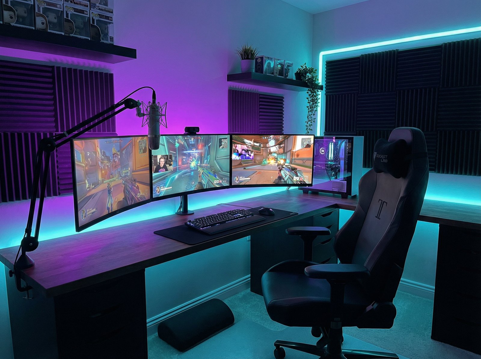 花色堂短视频专区